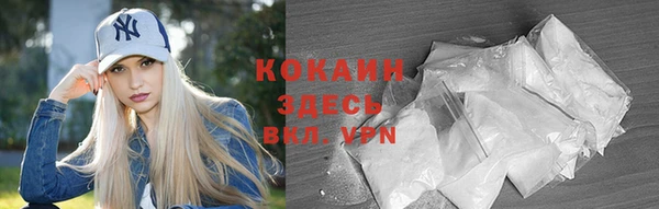 молекула духа Алексин