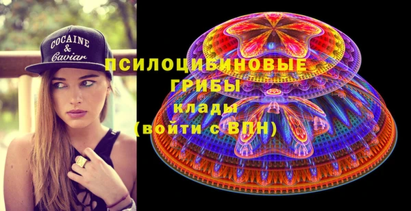 молекула духа Алексин