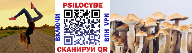 Псилоцибиновые грибы Magic Shrooms  Арзамас 